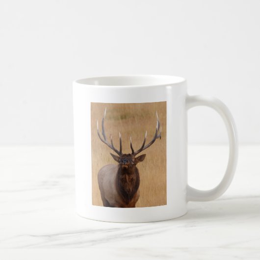 Elche Kaffeetasse (Rechts)