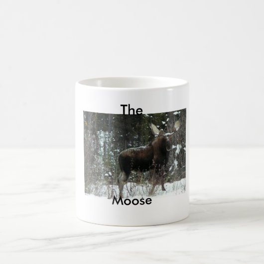 Elche Kaffeetasse (Mittel)
