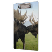 Elche Klemmbrett (Links)