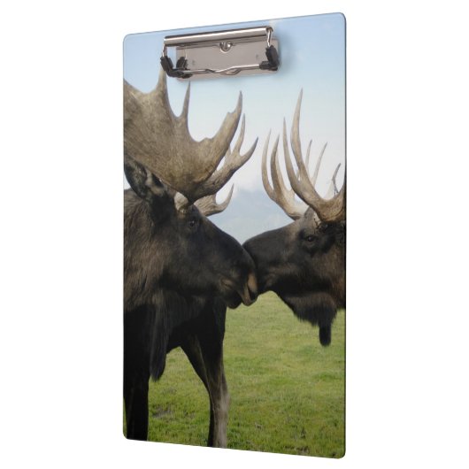Elche Klemmbrett (Links)