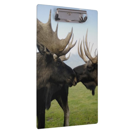 Elche Klemmbrett (Rechts)
