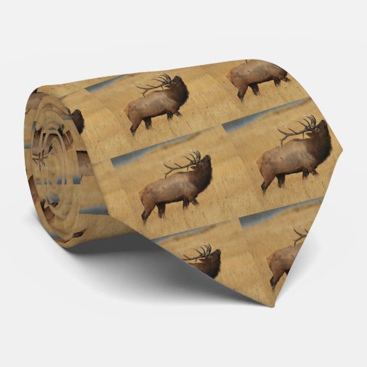 Elche Krawatte (Gerollt)