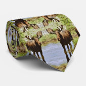 Elche Krawatte (Gerollt)