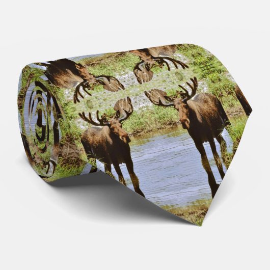 Elche Krawatte (Gerollt)