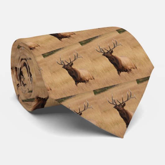 Elche Krawatte (Gerollt)