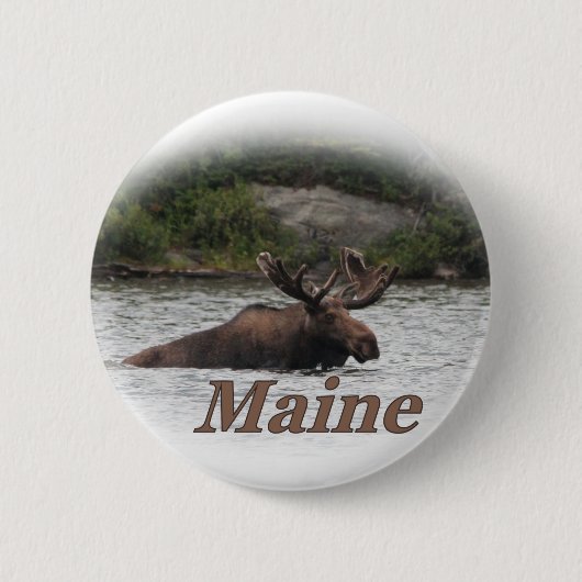 Elche Maines Stier Button (Vorderseite)
