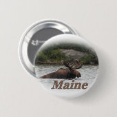 Elche Maines Stier Button (Vorne & Hinten)