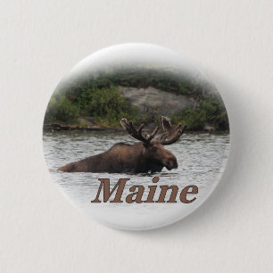Elche Maines Stier Button