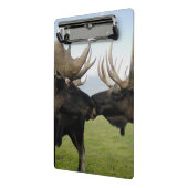 Elche Mini Klemmbrett (Gewinkelt2)