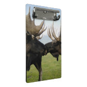 Elche Mini Klemmbrett (Schrägansicht)