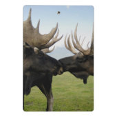 Elche Mini Klemmbrett (Rückseite)