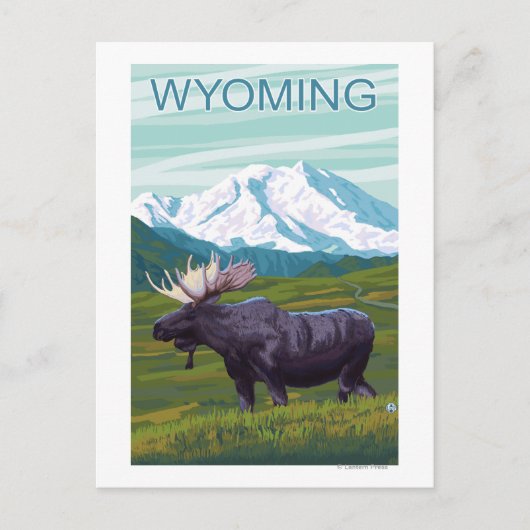 Elche mit BergWyoming Postkarte (Vorderseite)
