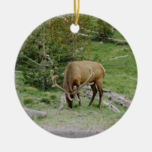 Elche mit den Samt-Geweihen Keramikornament (Vorne)