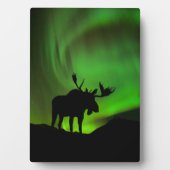 Elche mit grüner Aurora Borealis, Alaska Fotoplatte (Vorderseite)