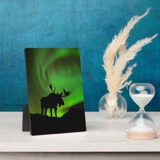 Elche mit grüner Aurora Borealis, Alaska Fotoplatte (Seite)