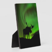 Elche mit grüner Aurora Borealis, Alaska Fotoplatte (Seite)