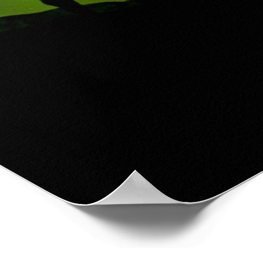 Elche mit grüner Aurora Borealis, Alaska Poster (Ecke)