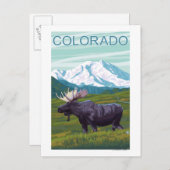 Elche mit MountainColorado Postkarte (Vorne/Hinten)