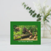 Elche mit Twins Postkarte (Stehend Vorderseite)