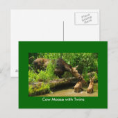 Elche mit Twins Postkarte (Vorne/Hinten)