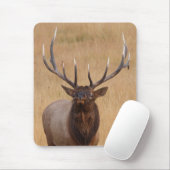 Elche Mousepad (Mit Mouse)