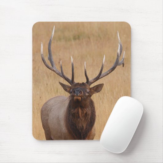 Elche Mousepad (Mit Mouse)