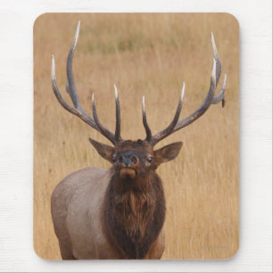 Elche Mousepad