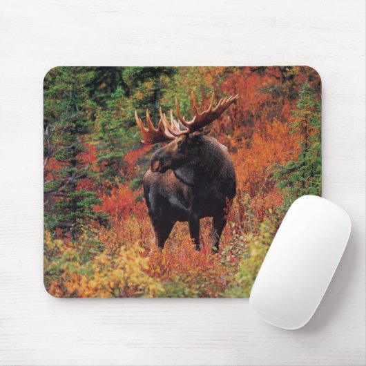 Elche Mousepad (Mit Mouse)
