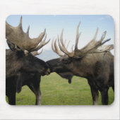 Elche Mousepad (Vorne)