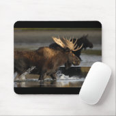Elche Mousepad (Mit Mouse)