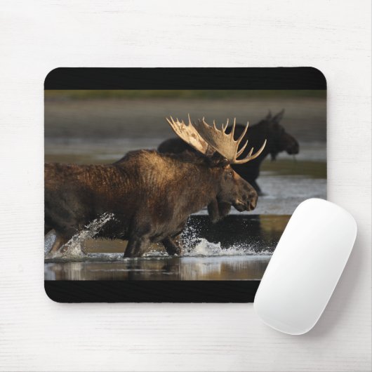 Elche Mousepad (Mit Mouse)