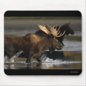 Elche Mousepad (Vorne)