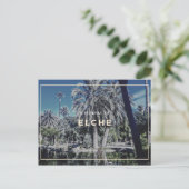 Elche Postcard Postkarte (Stehend Vorderseite)
