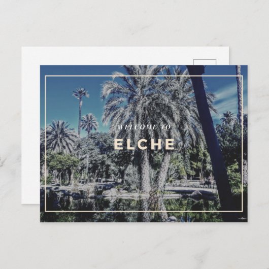 Elche Postcard Postkarte (Vorne/Hinten)