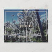Elche Postcard Postkarte (Vorderseite)