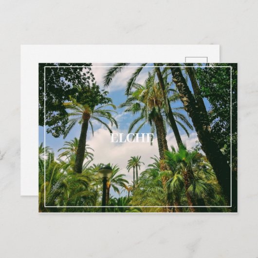 Elche Postcard Postkarte (Vorne/Hinten)