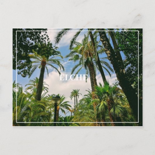 Elche Postcard Postkarte (Vorderseite)