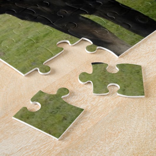 Elche Puzzle (Seite)