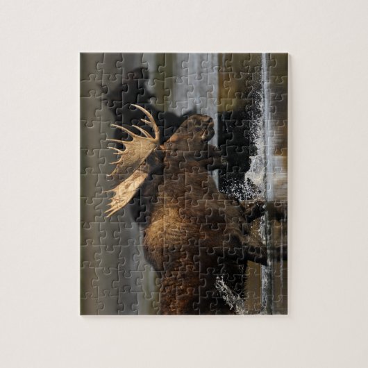 Elche Puzzle (Vertikal)