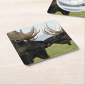 Elche Rechteckiger Pappuntersetzer (angewinkelt)