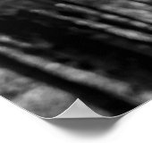 Elche Schwarz-weißes Foto Moderne Rustikale Kabine Poster (Ecke)