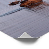 Elche Schwimmen im See Poster (Ecke)