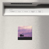 Elche Silhouette bei Sunset Magnet (In Situ (Geschirrspüler))