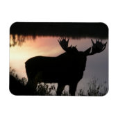Elche Silhouette Magnet (Horizontal)