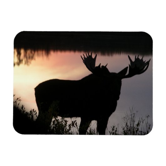 Elche Silhouette Magnet (Horizontal)