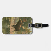 Elche Spaziergänge im Wasser Gepäckanhänger (Vorderseite horizontal)