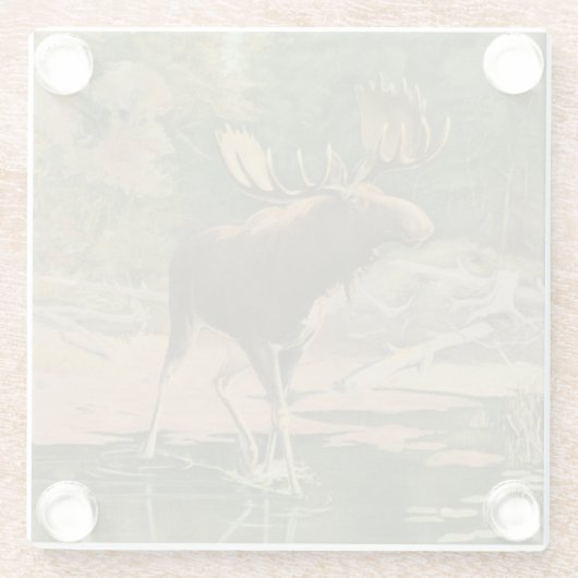 Elche Spaziergänge im Wasser Glasuntersetzer (Rückseite)