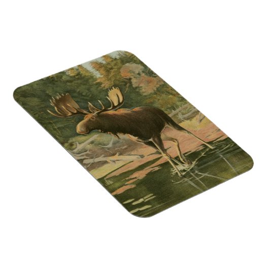 Elche Spaziergänge im Wasser Magnet (Rechte Seite)