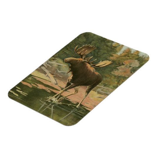 Elche Spaziergänge im Wasser Magnet (Linke Seite)