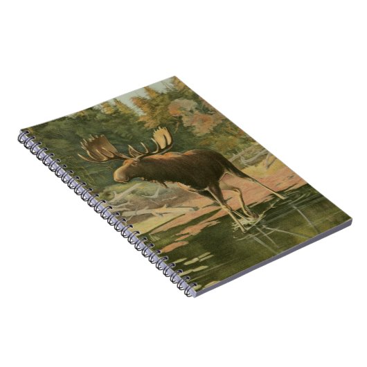 Elche Spaziergänge im Wasser Notizblock (Rechte Seite)